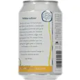 WILDER SELTZER MANGO PASSION ESCAPE 4.2% 33CL BX