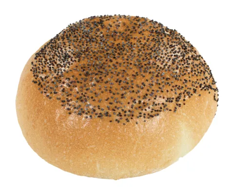 RUNDSTYKKE VALMUEFRØ 100GX50STK RUNDSTYKKE VALMUEFRØ 100GX50STK