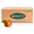 RAUCH ICE TEA PEACH 5L