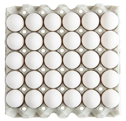 EGG MEDIUM FRITTGÅENDE 8X30STK EGG MEDIUM FRITTGÅENDE 8X30STK