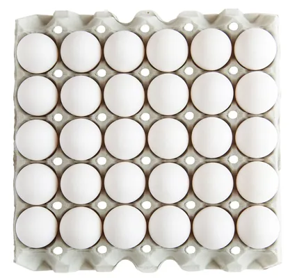 Egg Large Frittgående 8x30stk