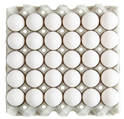 EGG LARGE FRITTGÅENDE 8X30STK EGG LARGE FRITTGÅENDE 8X30STK