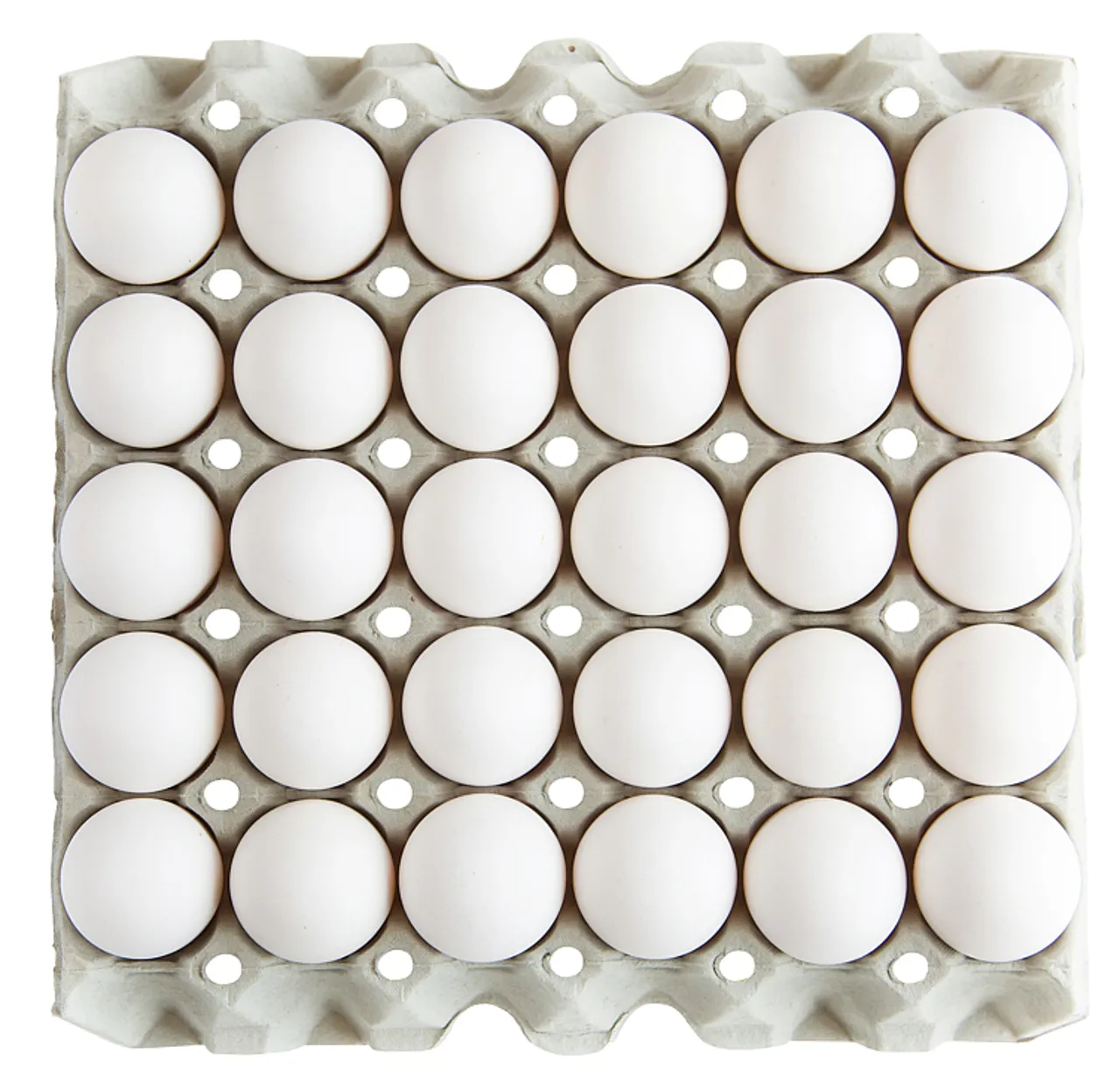 EGG LARGE FRITTGÅENDE 8X30STK