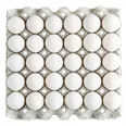 EGG LARGE FRITTGÅENDE 8X30STK