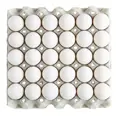 EGG LARGE FRITTGÅENDE 8X30STK