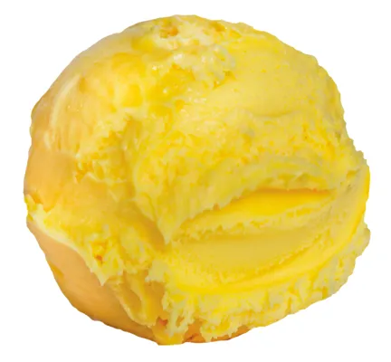 DIPLOM-IS MANGO SORBET 5L DIPLOM-IS MANGO SORBET 5L