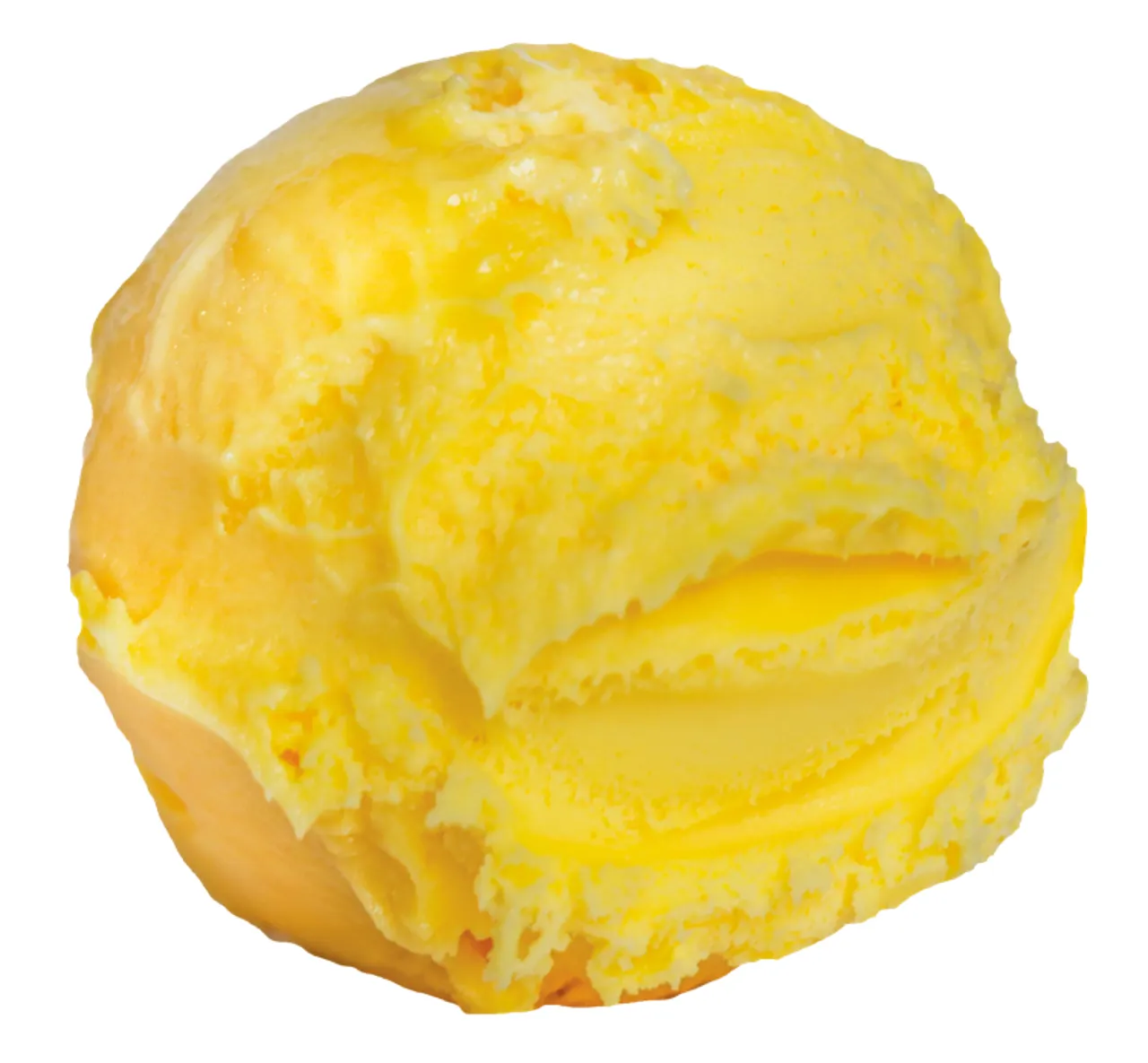 DIPLOM-IS MANGO SORBET 5L