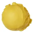 DIPLOM-IS MANGO SORBET 5L