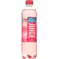 ARCTIC JUICE PINK LEMONADE 0.50L BRETT