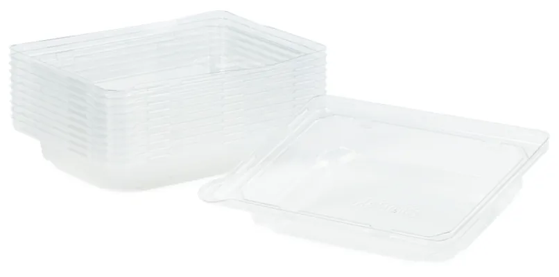 Lokk Sushi Rpet Tr Small 195x139mm