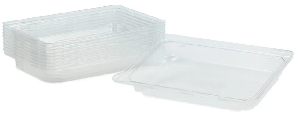 LOKK SUSHI RPET TR LARGE 248X156MM LOKK SUSHI RPET TR LARGE 248X156MM