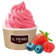 FROZEN YOGHURT BLUEBERRY 18X100GRM 1,8KGM