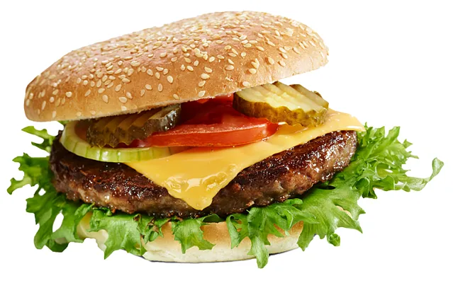 SLÅTTO HAMBURGER 60G SLÅTTO HAMBURGER 60G