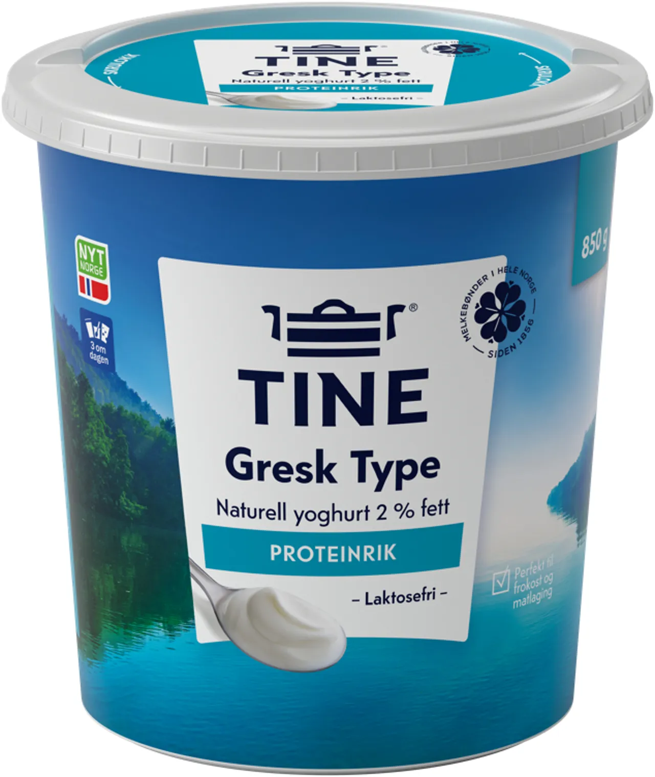 GRESK TYPE YOGHURT NATURELL 850G TINE
