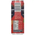 SAN PELLEGRINO ARANCIATA ROSSA SLIM BX 24X33CL