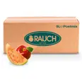 RAUCH PINK GUAVA KONSENTRAT 1X5L BIB