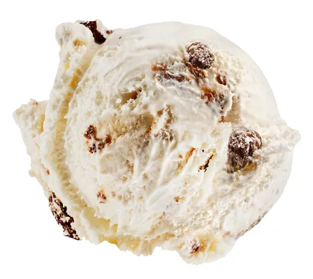 RHUM-RAISIN  ICE CREAM 4,6L RHUM-RAISIN  ICE CREAM 4,6L