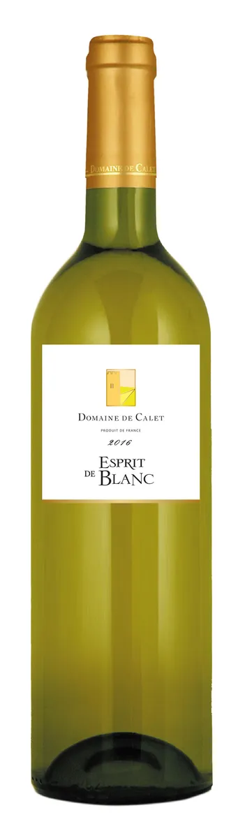 ESPRIT DE BLANC 12,5% 75CL ESPRIT DE BLANC 12,5% 75CL