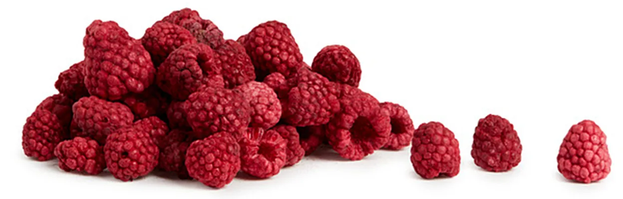 FRYSETØRKET BRINGEBÆR HELE 75G SOSA FRYSETØRKET BRINGEBÆR HELE 75G SOSA