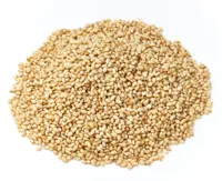 WHITE SESAME W/O SHELL ROASTED 1KG LOTUS