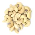 CASHEW NUT RAW 22,68KG LOTUS