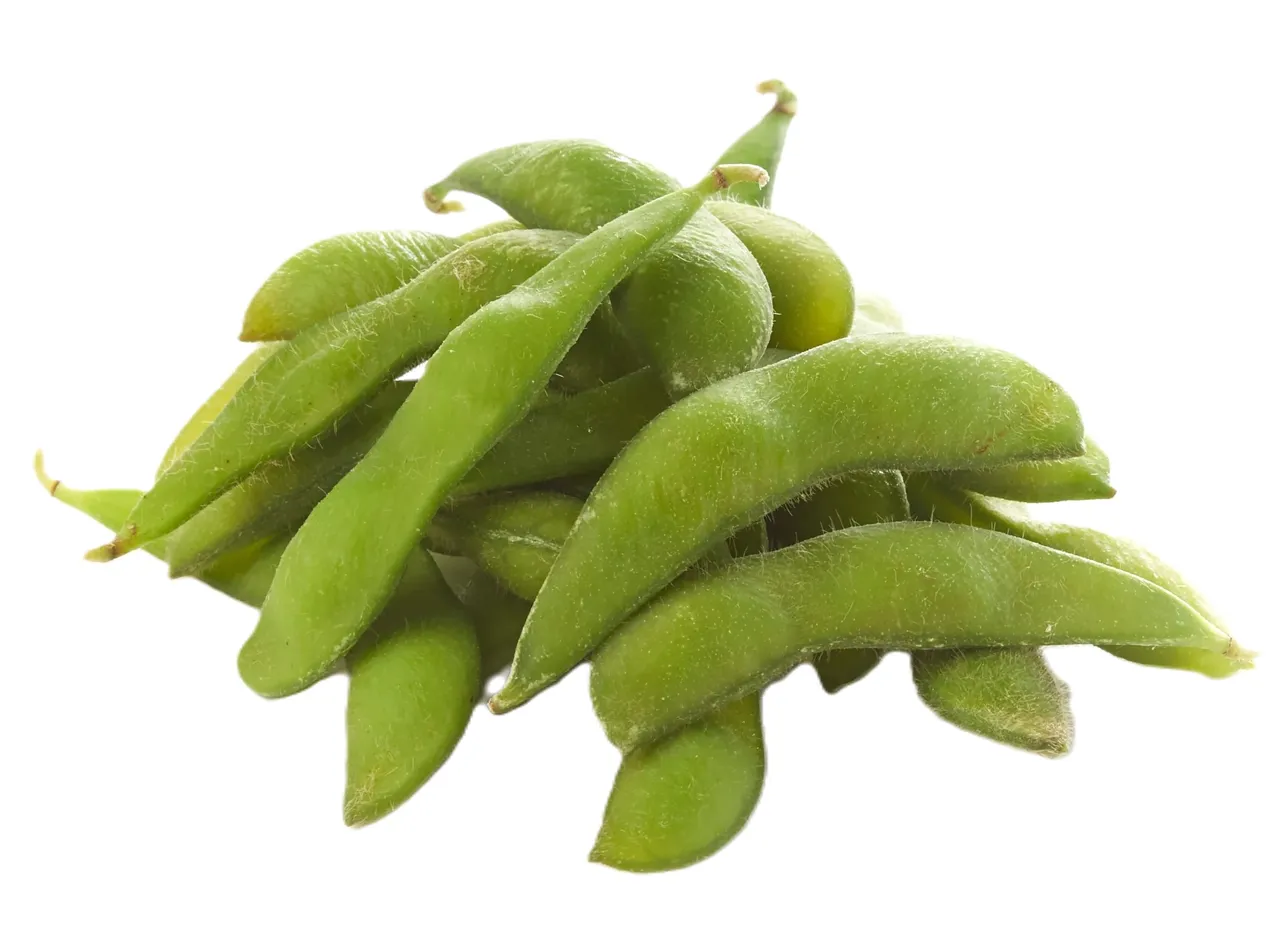EDAMAME SOYBEAN IN POD 500G SEAFOOD MARKET