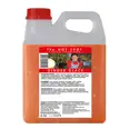 GINGER GLACE 2,5LITER KANNE