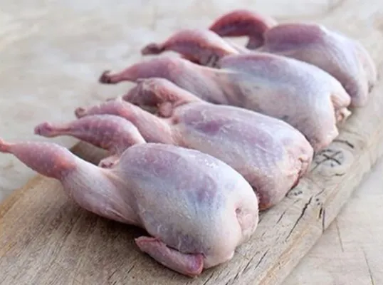 VAKTEL HEL 4x230G LES CHARMILLES VAKTEL HEL 4x230G LES CHARMILLES