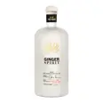 NONINO GINGER SPIRIT 50% 50CL