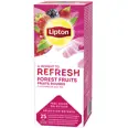 LIPTON FOREST FRUIT TE 40G 25BG