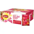 LIPTON ROSEHIP TEA 250G 100BG