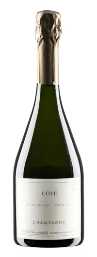 DOM LES MONTS FOURNOIS CÔTE MESNIL 12,5% 75CL