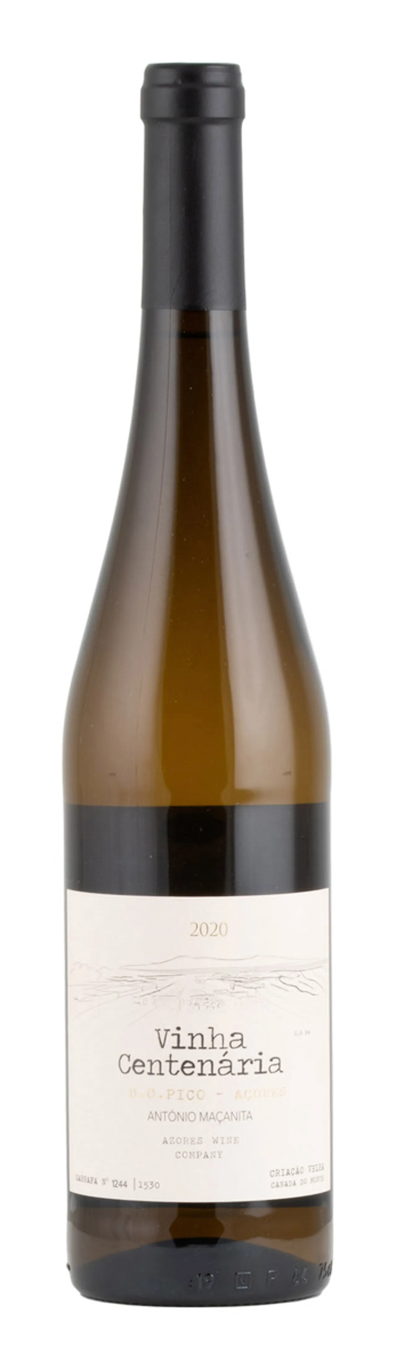 VINHA CENTENÃRIA 13% 75CL