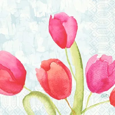 Serviett 3l33cm Painted Tulips