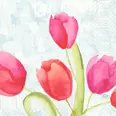 SERVIETT 3L33CM PAINTED TULIPS