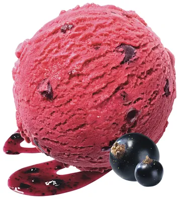 Mövenpick Blackcurrant 2,4l