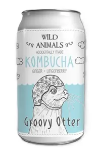 KOMBUCHA GROOVY OTTER 0,33L BX SENJA ROASTERS