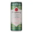 TANQUERAY GIN & TONIC CAN 6,5% 25CL