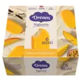 DREAM MANGO & PASJON MINI 6PK