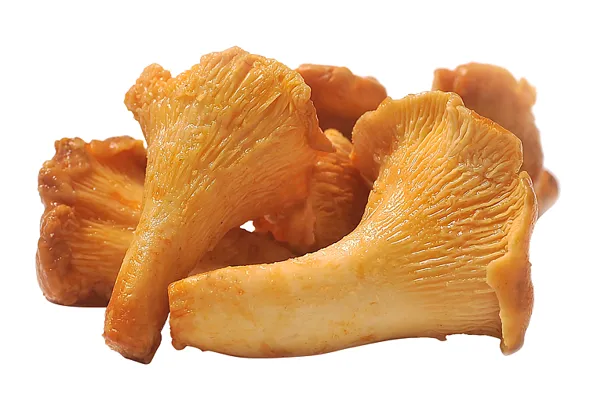 KANTARELL 2x1,5KG NORREK KANTARELL 2x1,5KG NORREK