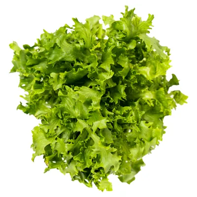 Crispi Frisée Løsvekt Salat Spiseklar 1.5kg Onna