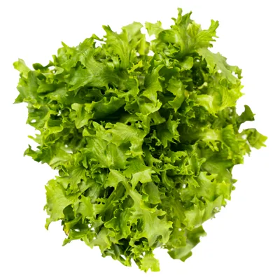 CRISPI FRISÉE LØSVEKT SALAT SPISEKLAR 1.5KG ONNA CRISPI FRISÉE LØSVEKT SALAT SPISEKLAR 1.5KG ONNA