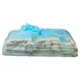 PINSA ROMANA NATURAL 260G