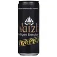 INTELLIGENT ENERGIZER TROPICAL 330ML BX WAIZLI