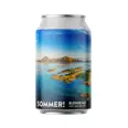 SOMMER BLONDE ALE 0,33L BX RAUS BRYGGERI
