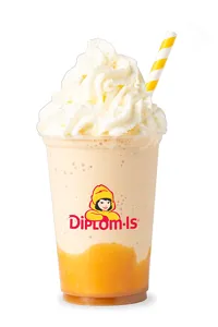 Plastbeger 300ml Diplom-Is