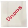 DIPLOM-IS SERVIETTER