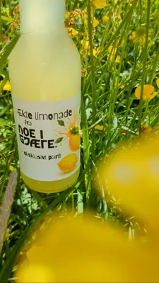 ÆKTE LIMONADE ALKOHOLFRI 330ML NOE I GJÆRE ÆKTE LIMONADE ALKOHOLFRI 330ML NOE I GJÆRE