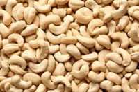 CASHEW NUT RAW PREMIUM 5KG