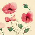 SERVIETT 3L33CM POPPY CHARM